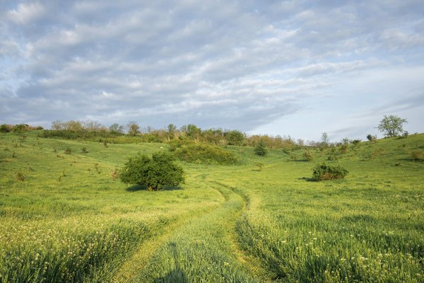 Wat zijn de voordelen van het bezoeken van Nederland buiten het hoogseizoen?