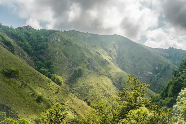 Hoe vind ik de beste deals voor fietsen huren in Nederland?