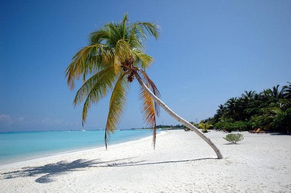 Hoe zorg je ervoor dat je vakantieverhuur opvalt tussen andere aanbiedingen?